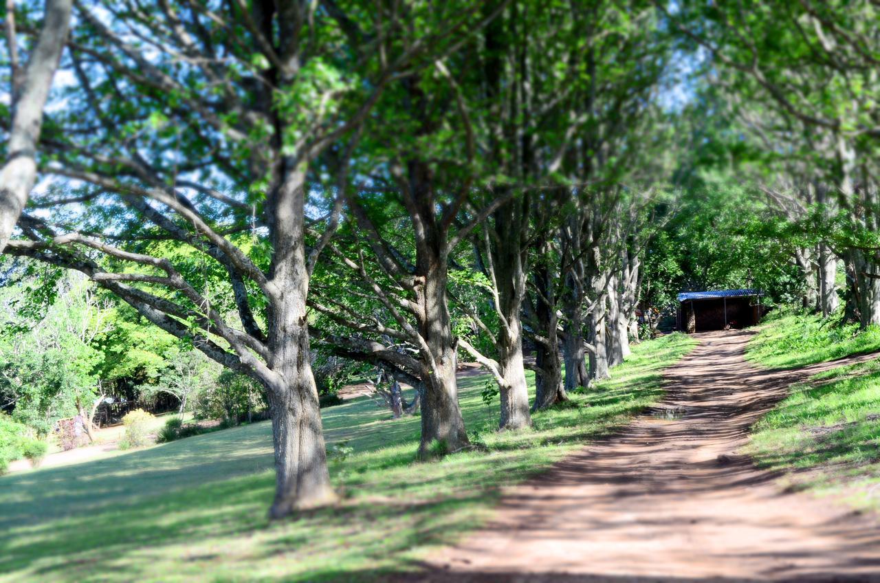 הוילה Botha's Hill Phezulu Safari Park מראה חיצוני תמונה