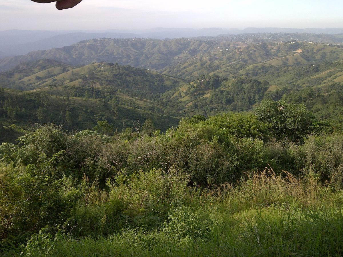 הוילה Botha's Hill Phezulu Safari Park מראה חיצוני תמונה