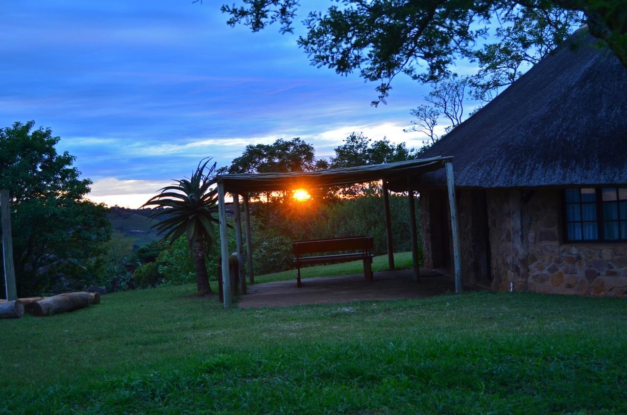 הוילה Botha's Hill Phezulu Safari Park מראה חיצוני תמונה